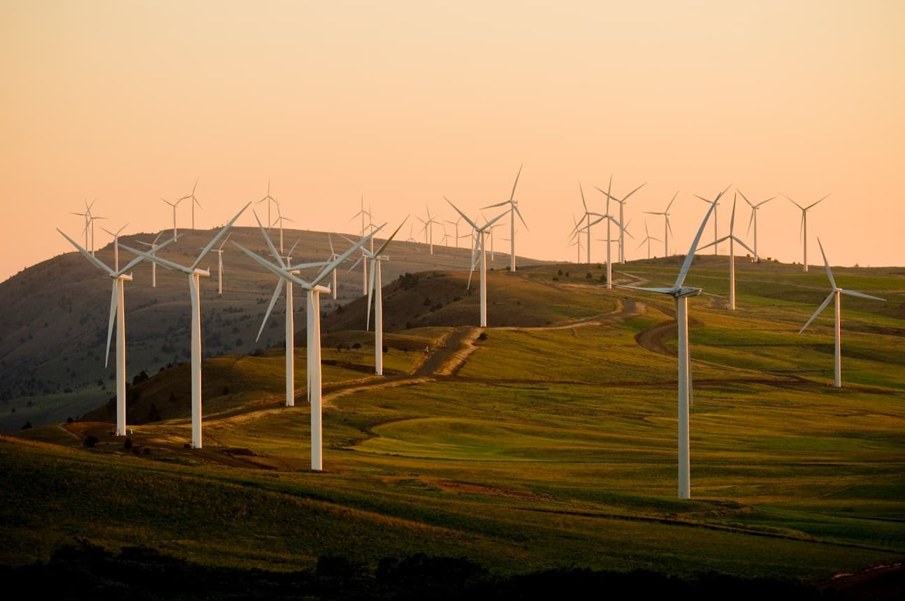 Microgrid Media case study